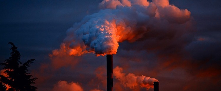 La contaminación externa.